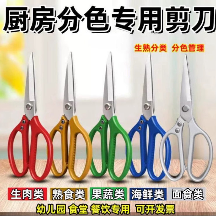 4D厨房餐饮食物分色剪刀幼儿园学校食堂色标管理分类不锈钢防锈剪