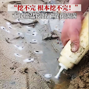 赶海盐瓶撒盐瓶罐海边抓蛏子蛤蜊专用神器装盐瓶儿童工具装备盐壶