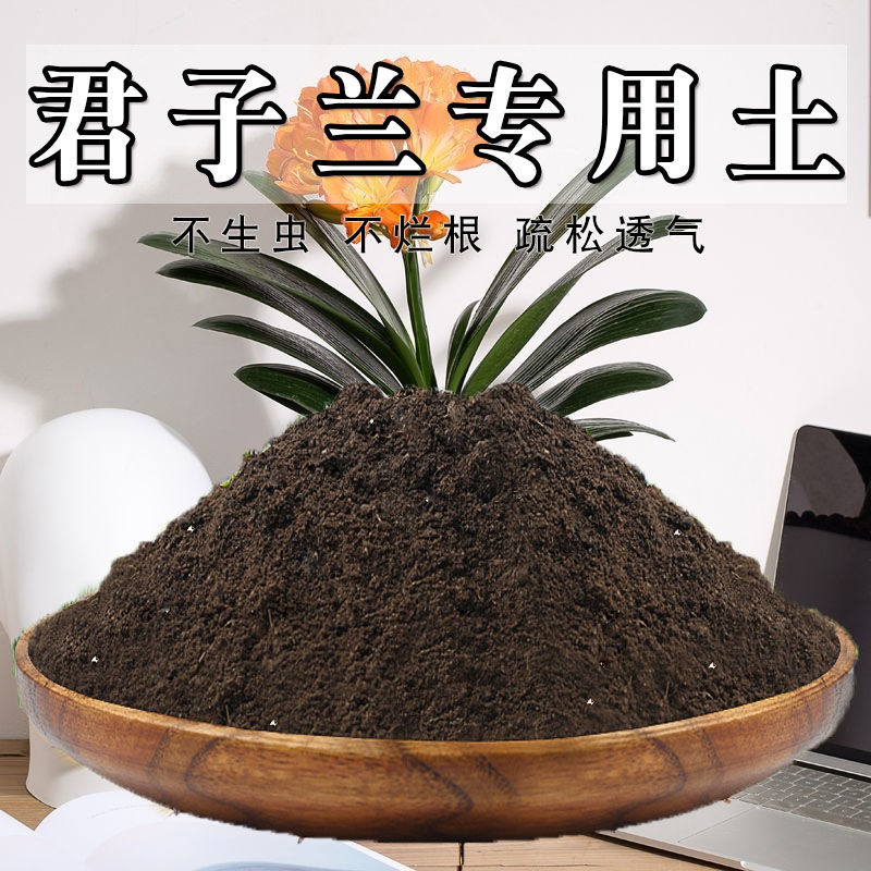 君子兰专用土君子兰土盆栽营养土家用室内酸性泥碳养花种植土肥料