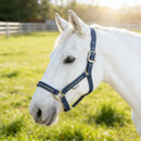 马术笼头马龙头带钻尼龙织带笼头马术装 饰马匹头绳调教用品牵马笼