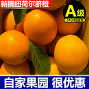 新鲜脐橙9斤现摘橙子脐橙纽荷尔整箱重