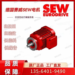 SEW电机DRN160MS2 TF德国赛威2极高转速泵用电机全新原装 正品