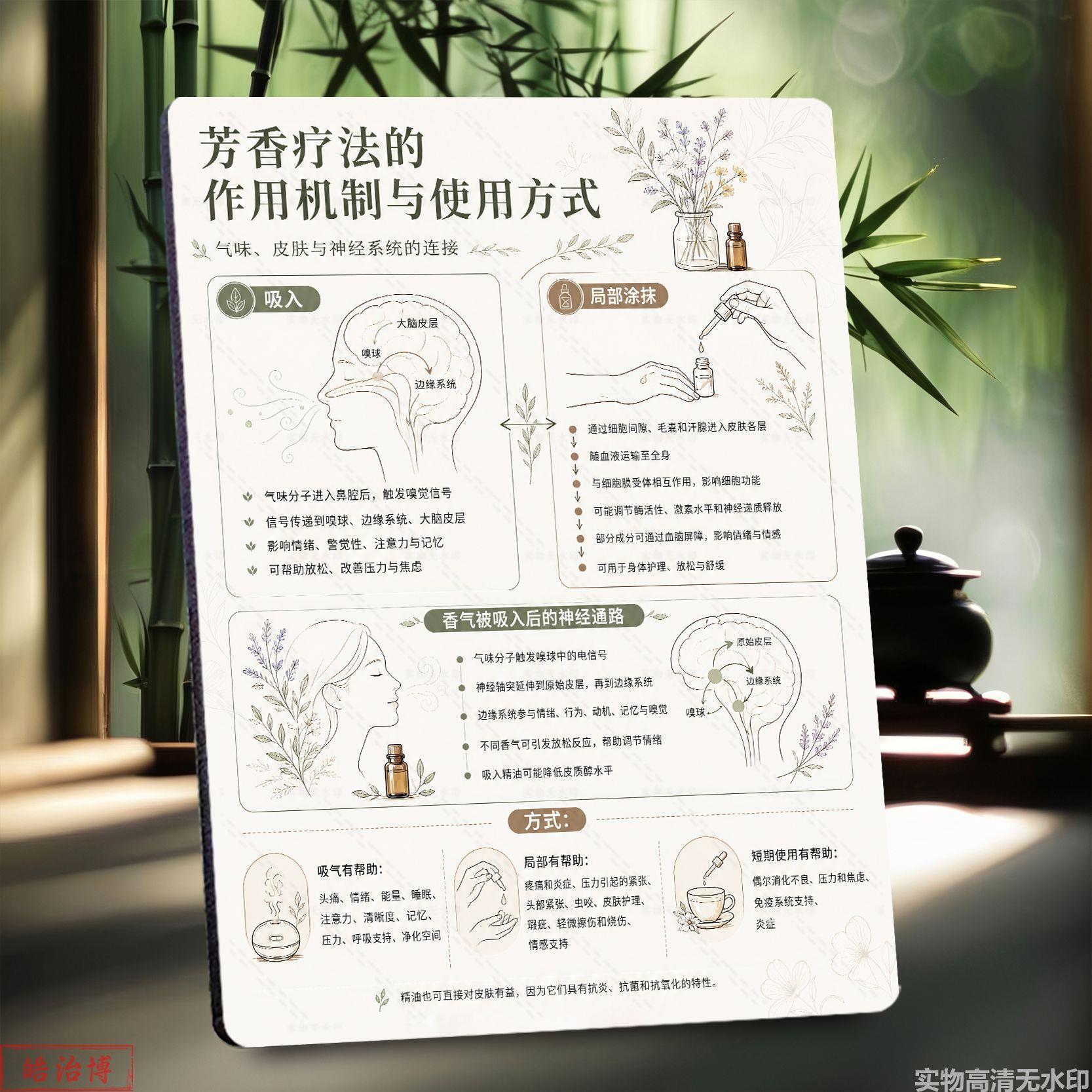 芳香疗法作用机制芳疗馆桌面展示相框/画框