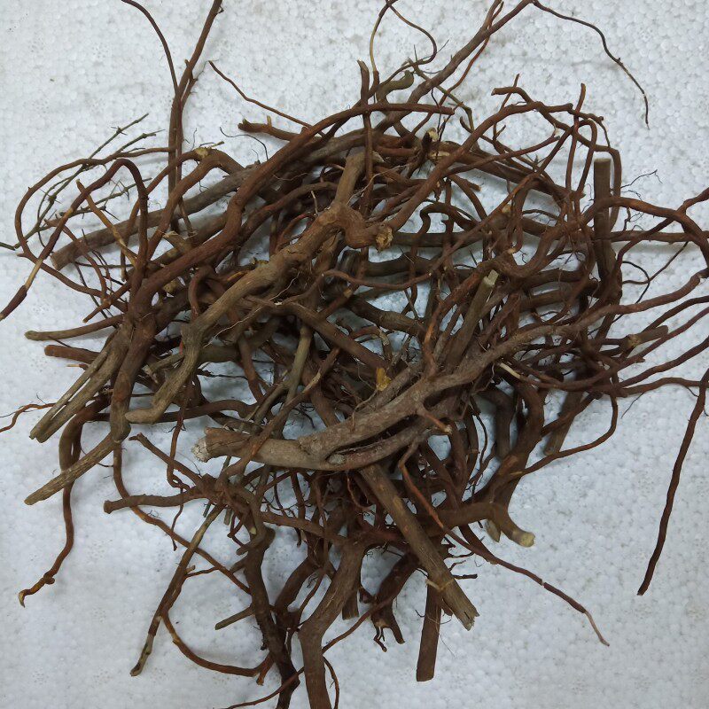 梅州野生中药材 虎刺根老鼠刺绣花针根伏牛花根干货纯根500克包邮