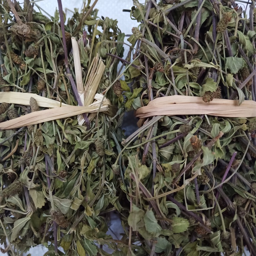 新货野生中药材 千打锤 千下锤 千下槌 千打槌 千锤草干货1斤包邮
