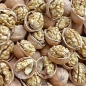 新疆特产阿克苏纸皮薄皮核桃原味500g休闲食品产地发货热卖 中 包邮