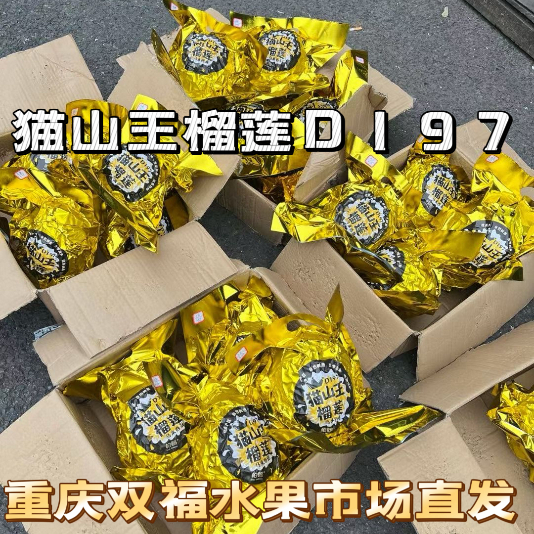 顺丰包邮猫山王榴莲D197马来西亚榴莲液氮冷冻榴莲甜糯新鲜水果