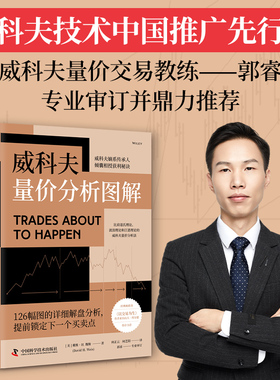 中资海派 威科夫量价分析图解 金融分析书籍股市分析分解卖点透析