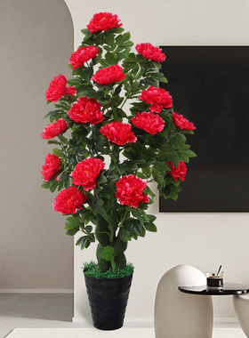 高级感仿真牡丹花高端轻奢假花客厅落地塑料盆景植物盆栽室内装饰