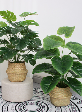 北欧仿真植物小盆栽摆设客厅装饰落地假花室内假绿植仿生龟背摆件