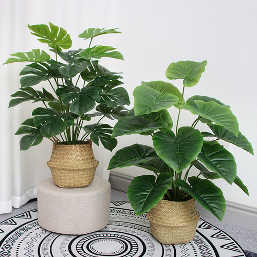 euk仿真植物不会枯萎无需打理
