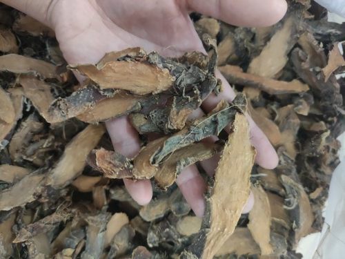 广东勒慈姑农家自制勒茨菇包邮