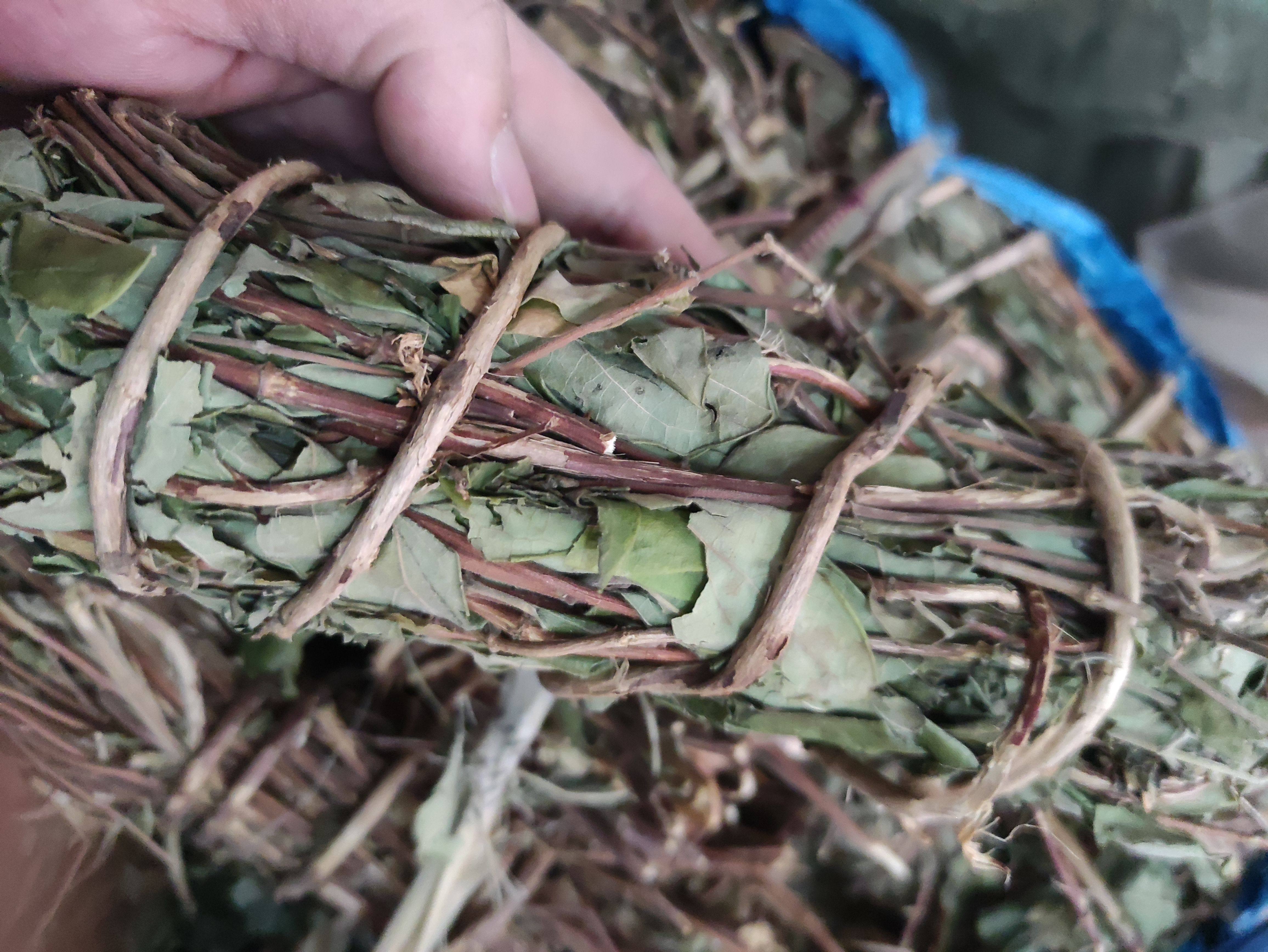 25年新晒 野生金银花藤 忍冬藤 宝宝洗澡500克