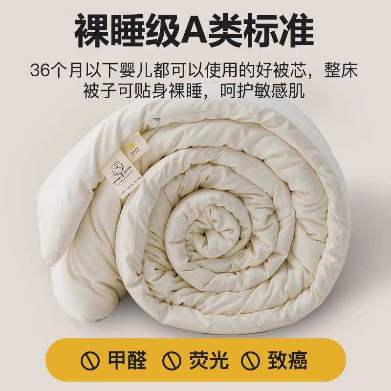 纯棉花被子冬被芯加厚保暖全棉絮学生宿舍单人春秋被子母被二合一,床上用品,棉花被,淘宝优惠券,粉丝福利购,淘宝优惠卷