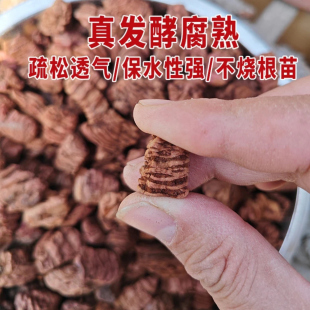 发酵腐熟软木松树皮养根生根兰花专用疏松透气营养土植料工厂直销