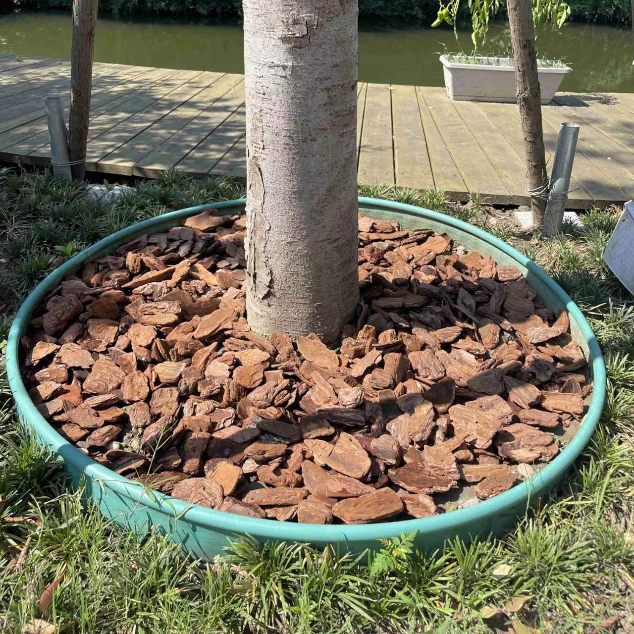 打磨松树皮松树皮北尤量大价优