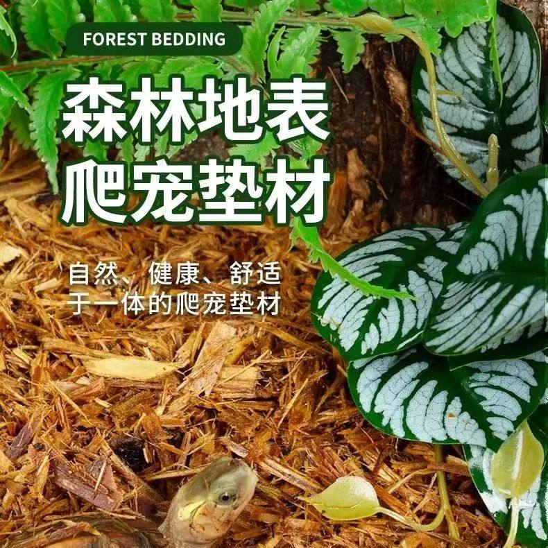 森林地表爬宠杉木屑垫材陆龟蜥蜴蛇蟒饲养箱保湿除臭造景厂家直销,鲜花速递/花卉仿真/绿植园艺,土壤覆盖物,淘宝优惠券,粉丝福利购,淘宝优惠卷
