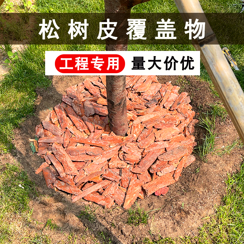 松树皮铺面覆盖物批发天然松鳞造景松鳞腐熟大块松树皮园林造景