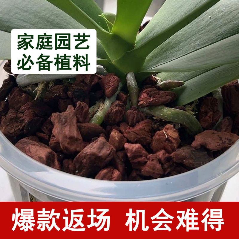 养根发酵腐熟黄金海绵树皮石斛蝴蝶兰种植专用天然营养植料基质