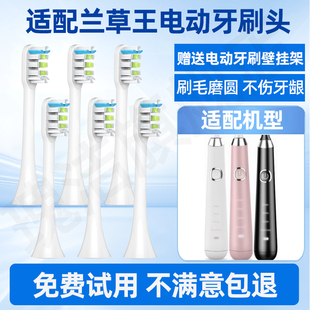 H6Plus成人美白超声波家用无线情侣感应 适用兰草王电动牙刷头H3