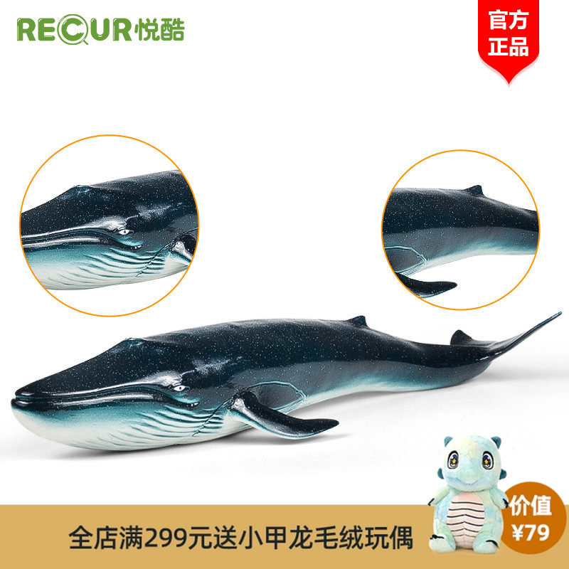 Recur悦酷 蓝鲸动物玩具 儿童仿真海洋动物模型虎鲸鱼男女孩礼物