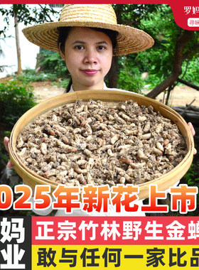 农家广东河源野生竹林金蝉花
