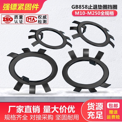 止退垫圈六爪垫圈M10-M250全规格