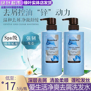 绿叶爱生活净爽去屑洗发水滋养控油温和去屑缓解头痒正品500ml