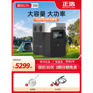 EcoFlow德1300 正浩220v户外移动电源大功率车载大容量自驾游蓄电