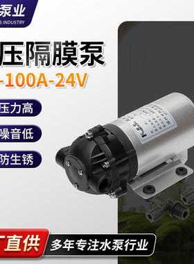 现货供应DP-100A微型自动隔膜泵电动隔膜泵微型高压隔膜泵