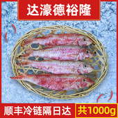 包邮 新鲜冷冻海鲜水产冻品1000g 食品 达濠德裕隆潮汕红鱼 预制菜