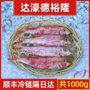 预制菜 达濠德裕隆潮汕红鱼 新鲜冷冻海鲜水产冻品1000g 包邮食品