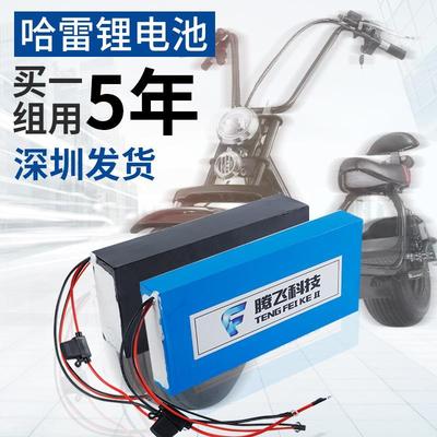 哈雷电动车锂电池60v12ah20ah48v拆卸滑板自行车大容量电瓶车通用