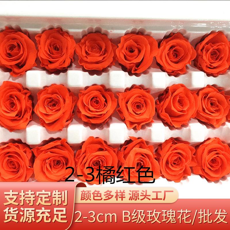 厂家2-3cmB级玫瑰花保鲜永生花圣诞七夕礼盒生日礼物DIY