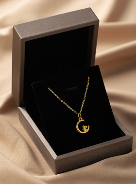 仙莉丝望月兔呆萌小兔子简约