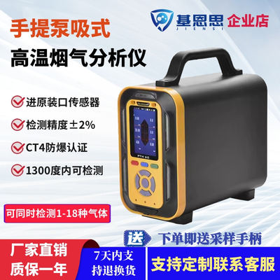 手提式高温烟气分析仪