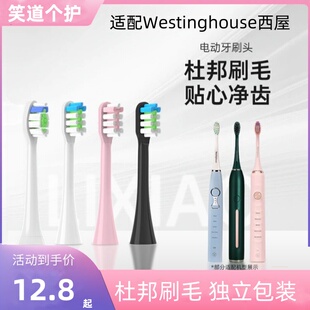适配美国西屋电动牙刷头 301b/p/w/501w/301G/F/504Y/G/L/608/505