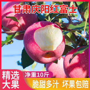 甘肃庆阳红富士苹果冰糖心新鲜脆甜水果当季10斤精品大果产地直发