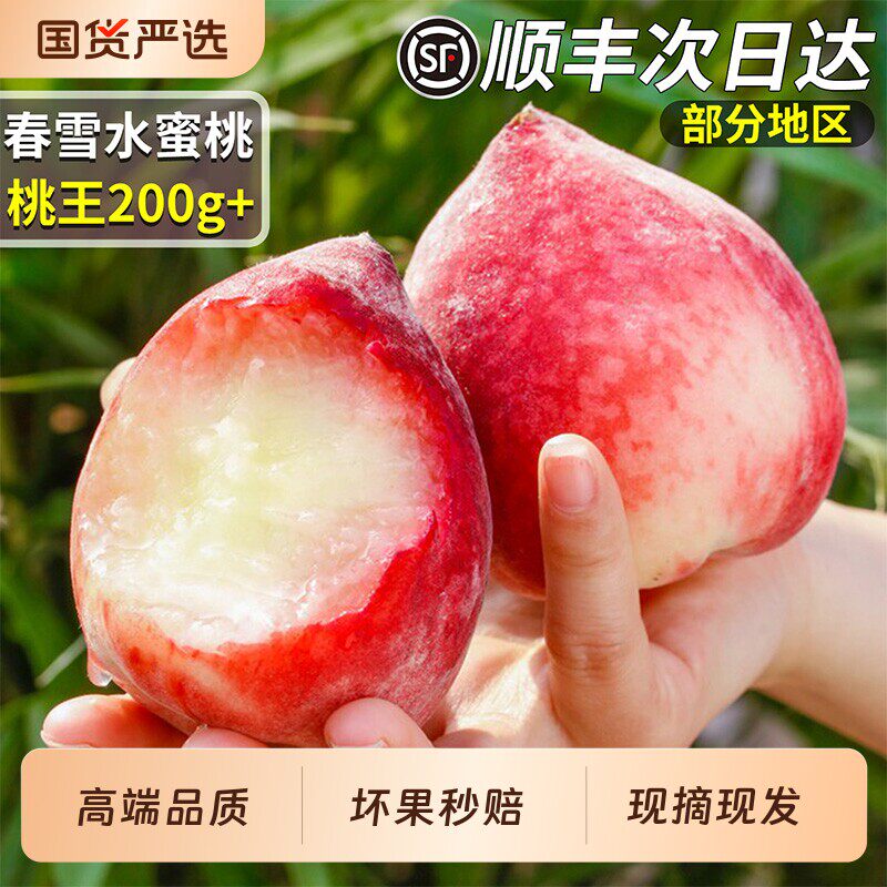 顺丰速发正宗春雪水蜜桃新鲜水果当季桃子整箱甜脆桃现摘冬桃包邮