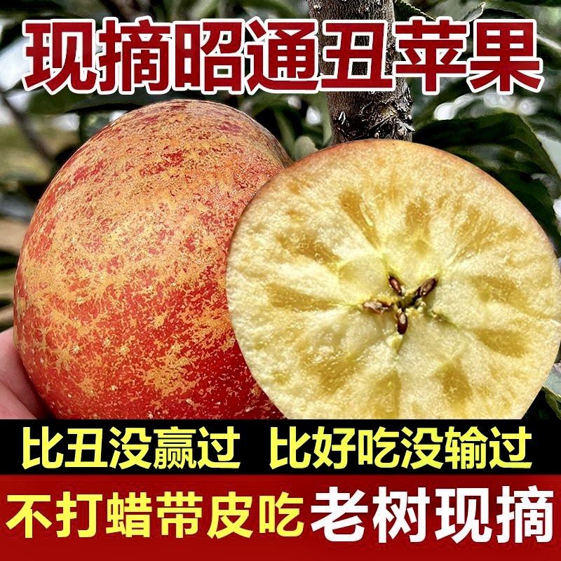 云南昭通冰糖心丑苹果水果新鲜当季整箱礼盒5斤10大应季基地直发,包装,水果包装,淘宝优惠券,粉丝福利购,淘宝优惠卷
