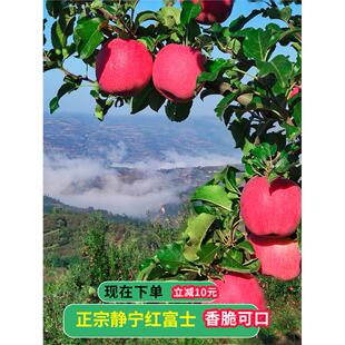 2025甘肃静宁苹果红富士礼盒新鲜水果脆冰糖心萍果整箱甜苹果孕妇