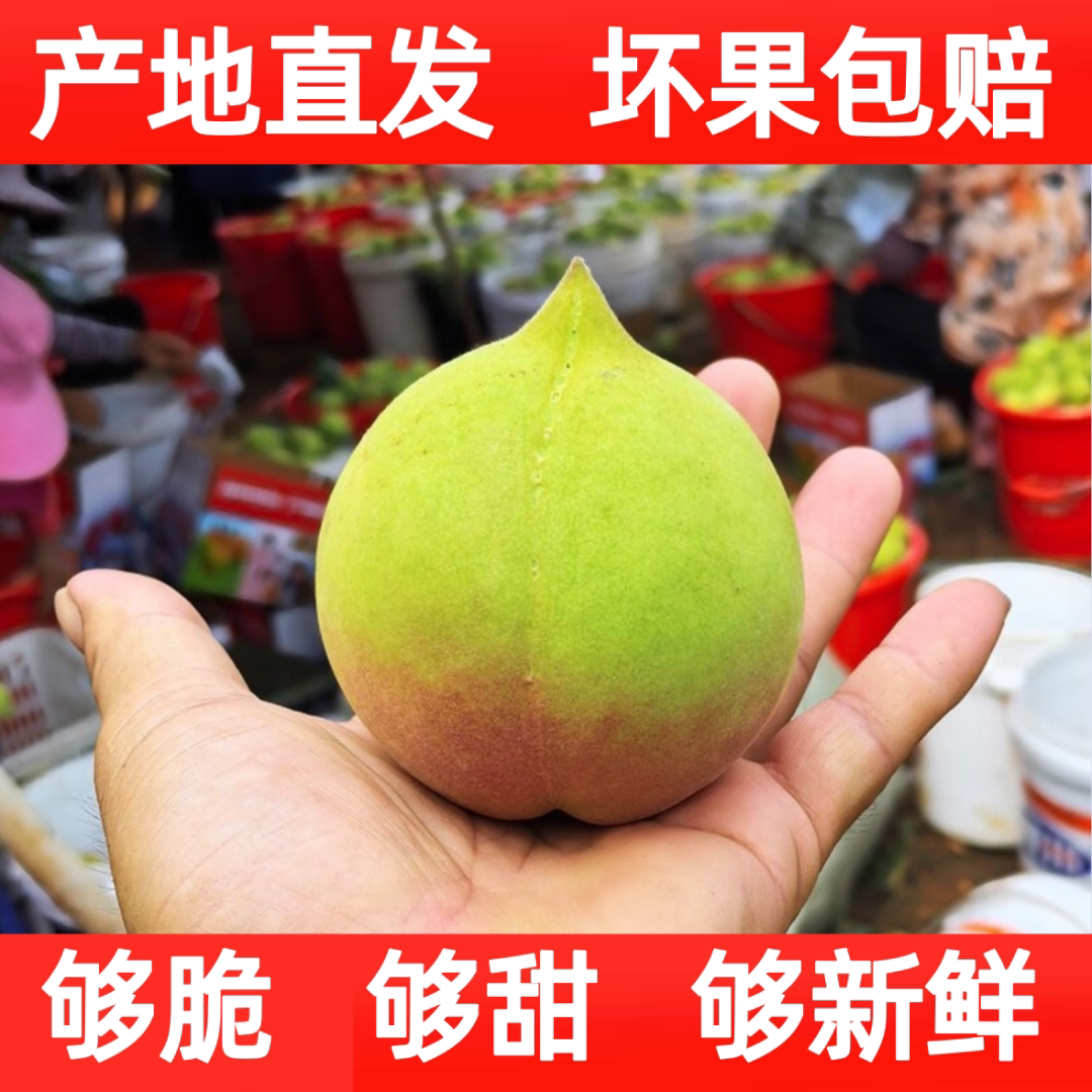 正宗连平鹰嘴桃产地现摘