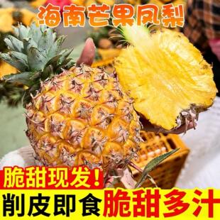顺丰包邮海南芒果凤梨芒果香味凤梨海南金钻凤梨现摘现发应季水果