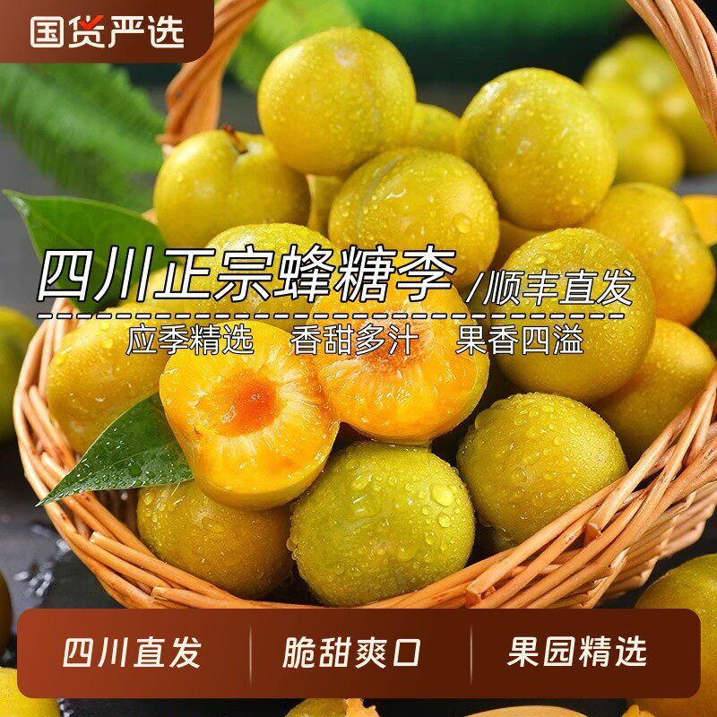 正宗四川蜂糖李水果新鲜当季蜂蜜李脱骨李子脆甜脱骨整箱大果