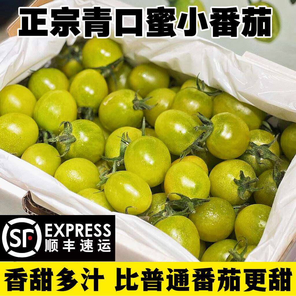 正宗青口蜜小番茄新鲜超