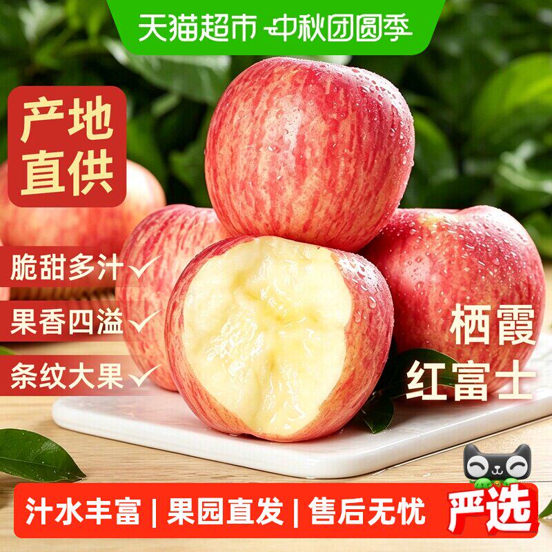 于甄鲜正宗山东栖霞红富士苹果新鲜脆甜果园直发整箱送礼烟台特产