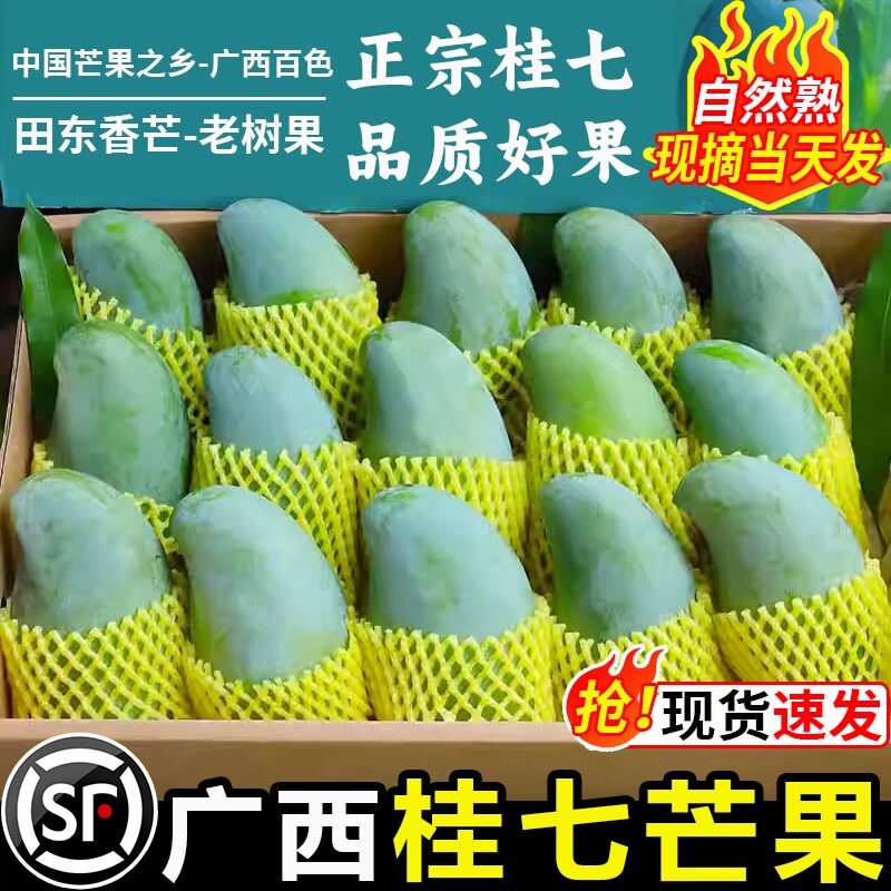 正宗广西桂七芒果整箱田