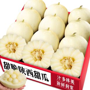 当季阎良甜瓜应季现摘现发新鲜当季水果小籽蜜瓜白皮老农直发新鲜