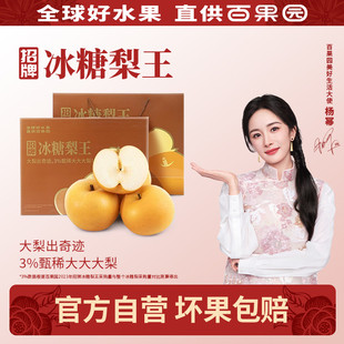 百果园店 招牌冰糖梨王6粒年货礼盒装山东正宗秋月梨莱阳特产水果
