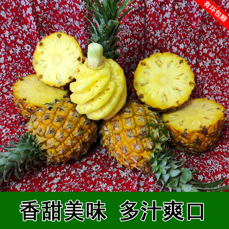 广西香水小菠萝礼盒新鲜